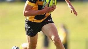 Is Nicholas Jooste the new Stephen Larkham?