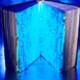 Linux user group lauds open source efforts