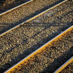 Free smartcards go unused: QLD Opposition