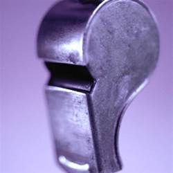 Wikileaks domain holder raided