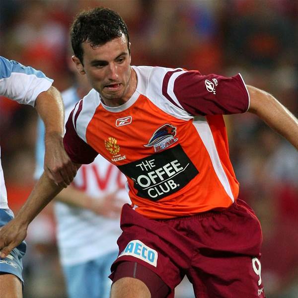 Thistle Switch Looms For Lynch Thistle Switch Looms For Lynch