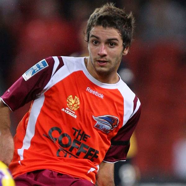 Brissie Boy Zullo Happy To Roar Brissie Boy Zullo Happy To Roar