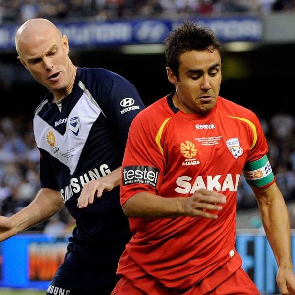 Viddy Eager For Tassie Victory Viddy Eager For Tassie Victory