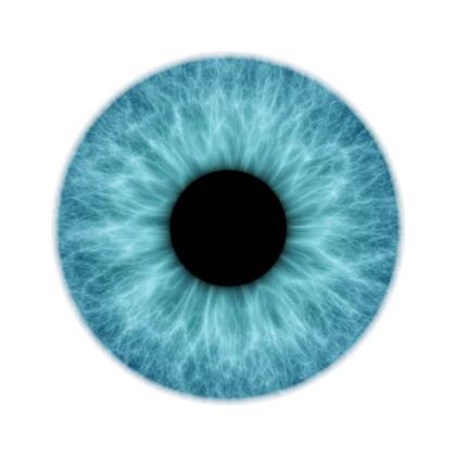 Australian Government offers $50m toward bionic eye effort