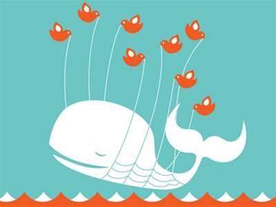 Twitter's fail whale has busiest month in two years