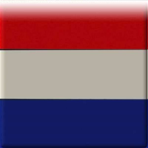 Sneijder The Man To Replace Scholes - Robben Sneijder The Man To Replace Scholes - Robben