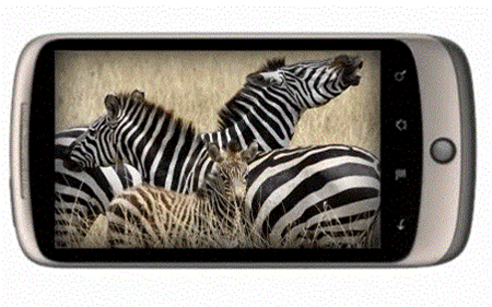 Nexus One sales disappoint