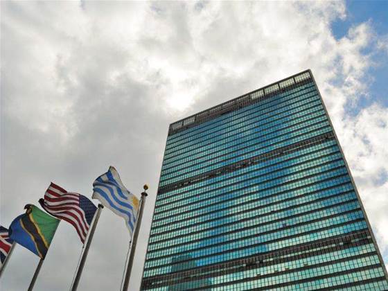Cablegate: US embassies asked to tap UN staff