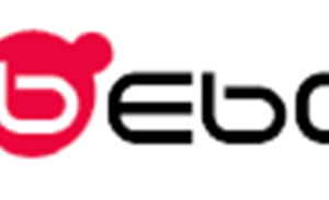 Bebo closes on Ebay as most searched-for brand in the UK