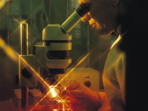 Boffins find way to fight spam scams