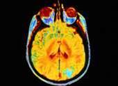 Human brains not wired for modern IT security