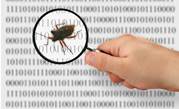Microsoft will not pay bounties to bug hunters