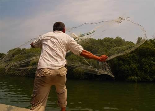 Christian Lobby wants filter net cast wider