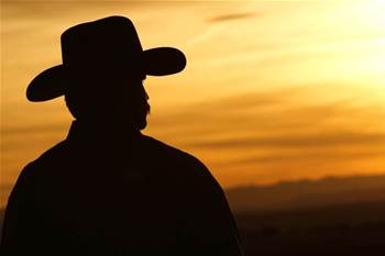 Fibre mandate will attract cowboys: Budde