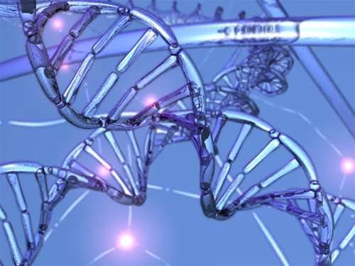 EU governments agree to DNA database sharing