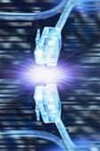 IEEE announces next-gen Ethernet standard
