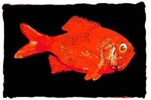Phishing volumes drop while notorious gang upgrades technology