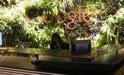 Google opens six-star Sydney ‘Googleplex’
