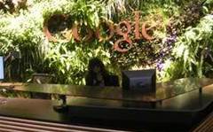 Google opens six-star Sydney ‘Googleplex’