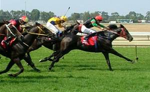 ACCC: Beware of Melbourne Cup 'betting scams'