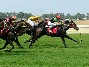 ACCC: Beware of Melbourne Cup 'betting scams'