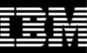 IBM snaps up Lombardi Software