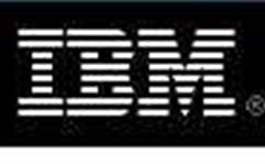 IBM top in Q2 server revenue