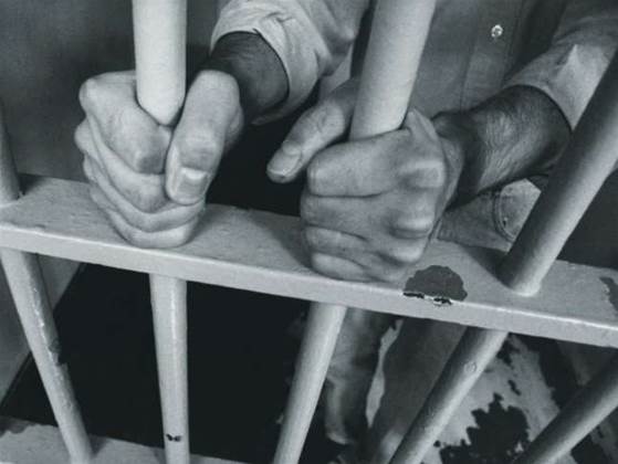 Day 12: iiNet police referrals branded "cynical"