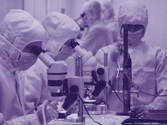 Websense shuts Sydney R&D team down