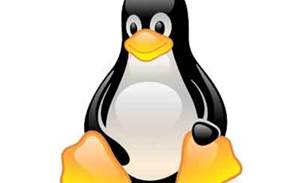 New Linux kernel released without penguin