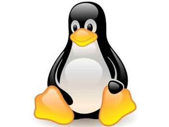Linux code worth $10.8bn