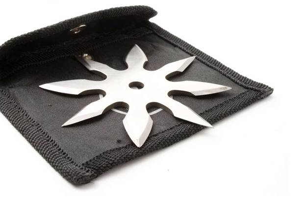 Apple denies Jobs carried ninja stars