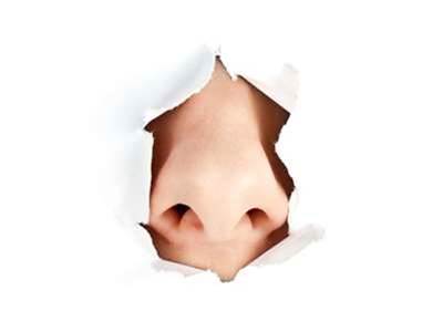 Electronic nose to judge QLD chicken factories