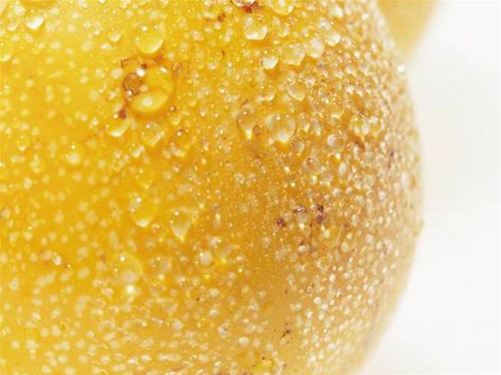 US boffins promise organic semiconductors