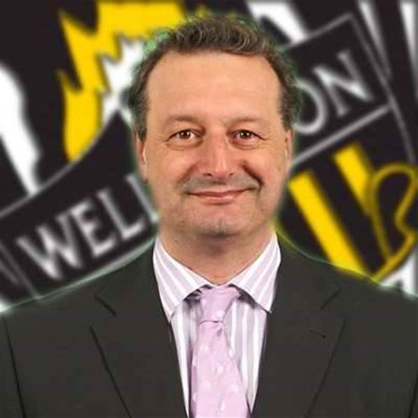 Phoenix Stamp On Indiscipline Phoenix Stamp On Indiscipline