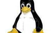 Silverlight shines on Linux