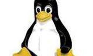 Free Linux gets green light