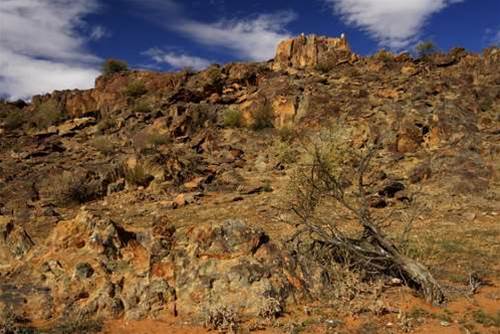 Greens threaten rocky path ahead for filter laws