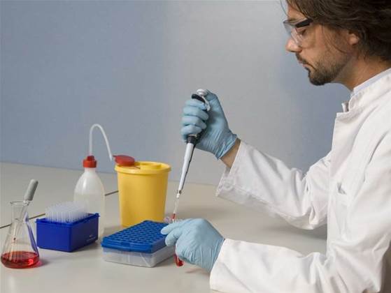 Information processing RNA could control biological function
