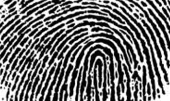 Privacy group warns of web browser 'fingerprinting'