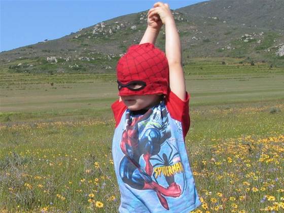 Scientist suggests super-sticky Spidey suit