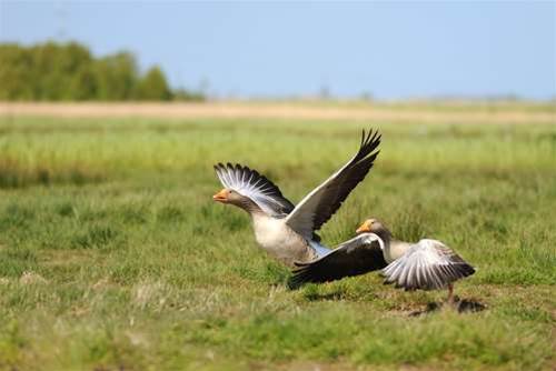 Virtualised workloads sit at 16 percent: Gartner