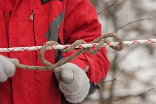 Microsoft and Yahoo finally tie the knot