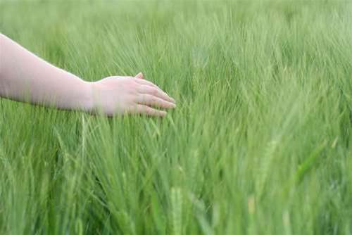 ispOne renews Telstra Wholesale contract