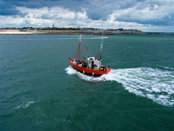 Fisherman accused of breaching internet cable zone