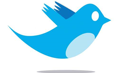 Twitter to host first developer conference