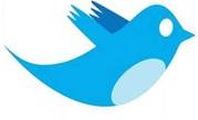 Twitter bug lets users force new followers