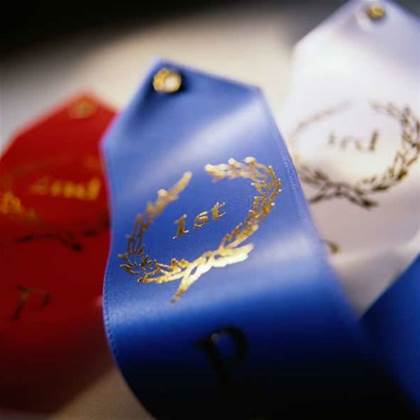 UK firm wins European ICT prize