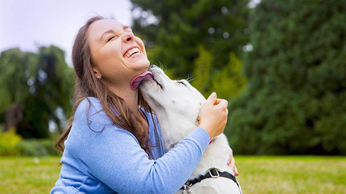3 Gross Things That Can Happen If You Let Your Dog Lick Your Face