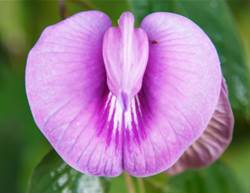 4 Things You Should Never, Ever Do To Your Vagina